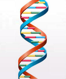 Nutrigenomics